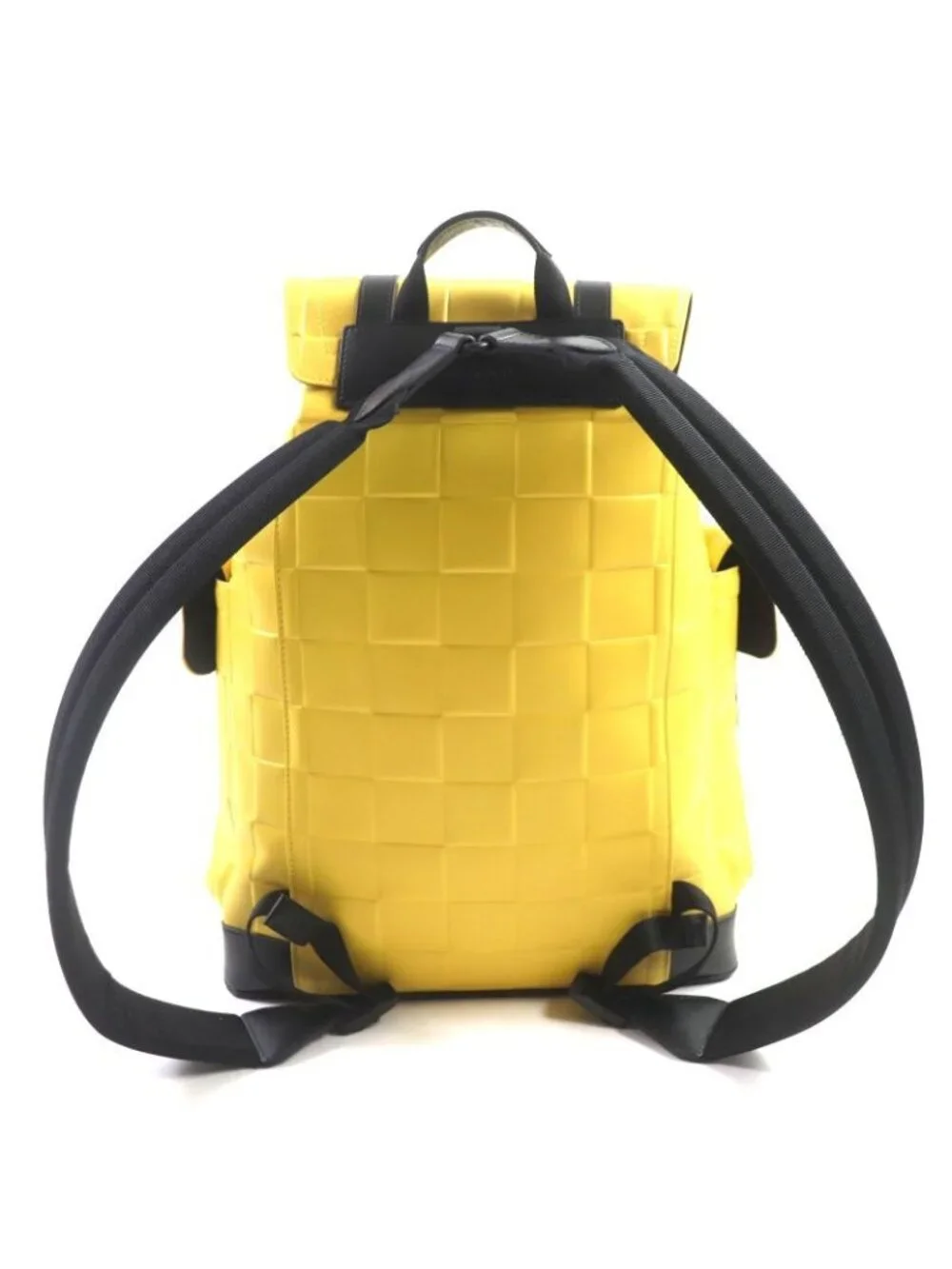 Louis Vuitton brand louis